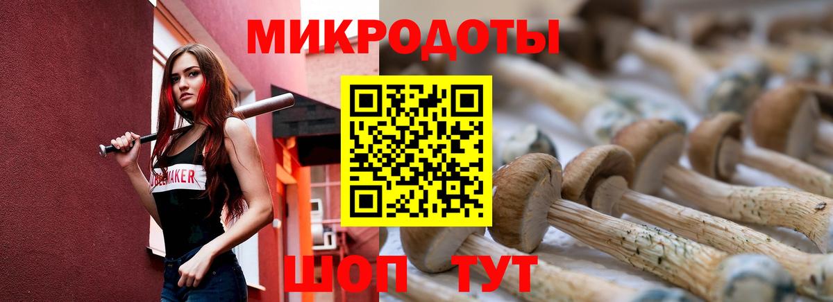 Псилоцибиновые грибы Psilocybe  Вход с VPN  Зеленогорск 