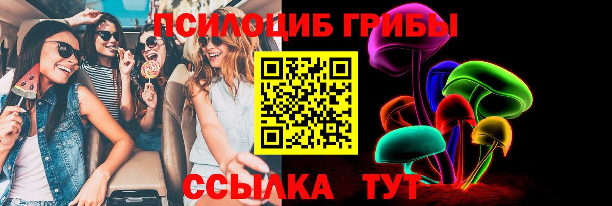Галлюциногенные грибы Psilocybine cubensis Зеленогорск